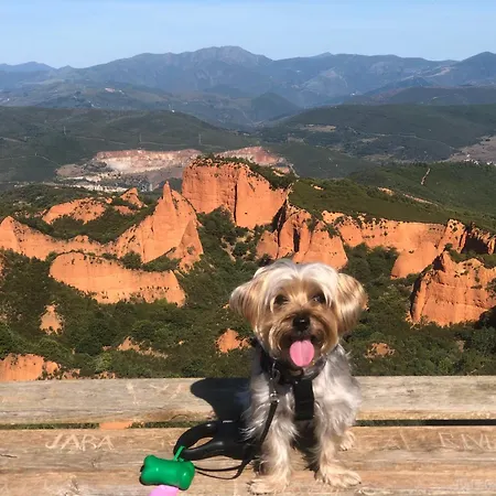 Duplex Duquesa Διαμέρισμα