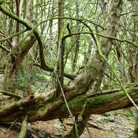 アパート Duplex Duquesa *