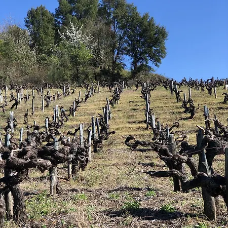 Duplex Duquesa * オ・バルコ・デ・バルデオーラス