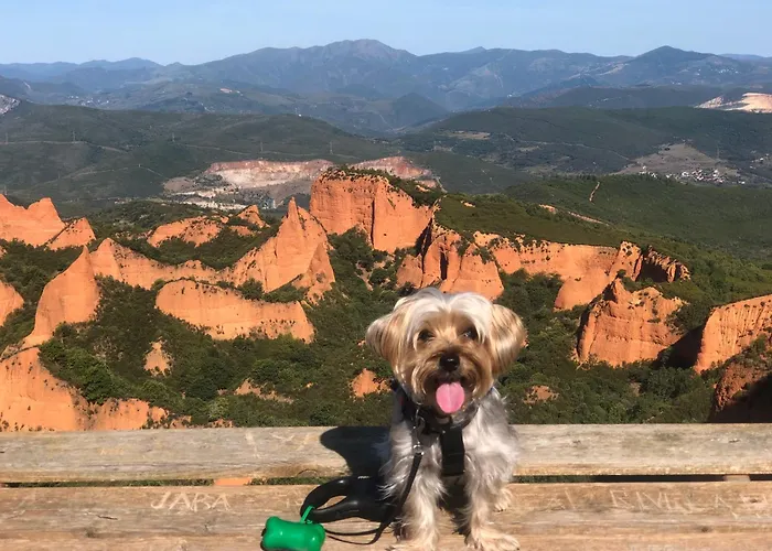 Duplex Duquesa Διαμέρισμα