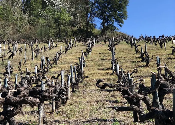 Duplex Duquesa * O Barco de Valdeorras