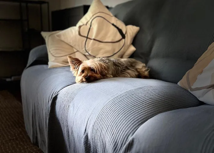 Διαμέρισμα Duplex Duquesa